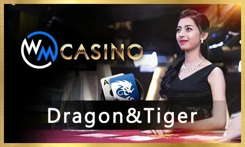 Jilino Casino Games